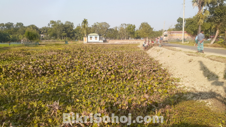 ময়মনসিংহ মুক্তাগাশা    ৪৩ শতাংশ  জমি  বিক্রয়  হবে